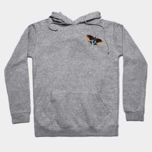 Charaxes jasius Hoodie